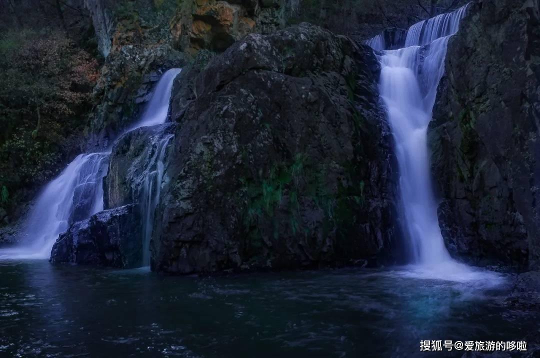 春雨直播app